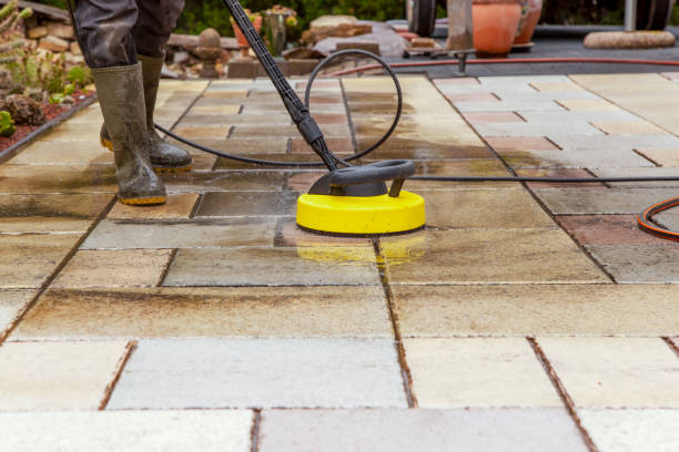 Best Dumpster Area Cleaning  in Crete, IL